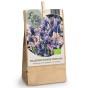 Pollinator Flower Power Mix 15 Bulbs Ready for Planting Now in UK Autumn Outdoor Gardens