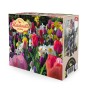 Ratatouille, Rainbow Tones: Daffodil Mixed, Tulip Purple Prince, Tulip Van Eijk, Tulip Apeldoorn's Elite, 28 Bulbs Ready for Planting Now in UK Autumn Outdoor Gardens