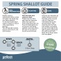 Mixed Spring Onion, Shallots and Garlic Mega Pack by Jamieson Brothers 