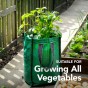 Potato Planter Grow Bags for growing Vegetables all year round 18"x12"x12" 