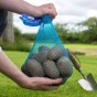 6kg Summer Planting Christmas Harvest Seed Potato Bundle (Charlotte, Pentland Javelin & Wilja)