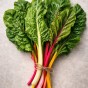 Super Greens & Leafy Harvest Bundle 5 Pack Vegetable Seed Collection (Lettuce Mesclun Mix, Swiss Chard Rainbow Mix, Lettuce Parris Island Cos, Pak Choi White Stem, Kale Black Tuscan)