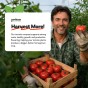 Tomato Compost with added John Innes 60L - 6 months feeding in this professional blend by Jamieson Brothers