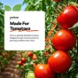 Tomato Compost with added John Innes 60L - 6 months feeding in this professional blend by Jamieson Brothers