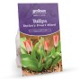Dwarf Daffodil and Tulip Bulbs - Rockery Mixed (200 bulbs)