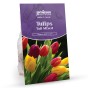 Tall Mixed Tulip Bulbs (20 bulbs) by Jamieson Brothers®  