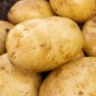 Ulster Sceptre Seed Potatoes - 20KG