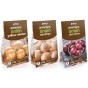 Mixed Winter Onion Sets (750g, Approx 150 Bulbs) Senshyu, Red Winter and Yellow Winter
