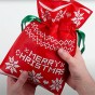 Christmas Gift Set Seed Mix by Jamieson Brothers