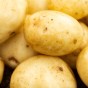 Valor Seed Potatoes - 2KG