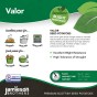 Valor Seed Potatoes - 20KG