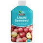Vitax Organic Liquid Seaweed 1L bottle