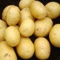 Albert Bartlett Vivaldi Potatoes 2kg net