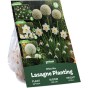 White Spring Flowering Lasagne Bulb Planting Kit - Layered Perennial Flower Bulbs for Garden Pots & Containers, Mixed Snowdrops, Daffodils & Alliums – by Jamieson Brothers