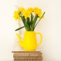 50 Freshly Cut Mixed Orange & Yellow Daffodils – Ready to Bloom | Perfect for Home Décor, Indoor Displays & Easter Gifts UK