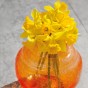 100 Freshly Cut Mixed Orange & Yellow Daffodils - Ready to Bloom | Perfect for Home Décor, Indoor Displays & Easter Gifts UK