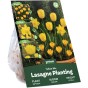 Yellow Spring Flowering Lasagne Bulb Planting Kit - Layered Perennial Flower Bulbs for Garden Pots & Containers, Mixed Tulips, Daffodils & Crocus – by Jamieson Brothers