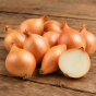 Yellow Moon 8 x Shallot Sets - Autumn Planting