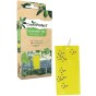 Green Protect - Yellow Insect Trap