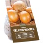 Yellow Winter Onion Sets (250g, Approx 50 Bulbs) for Planting Now in UK Autumn by Jamieson Brothers