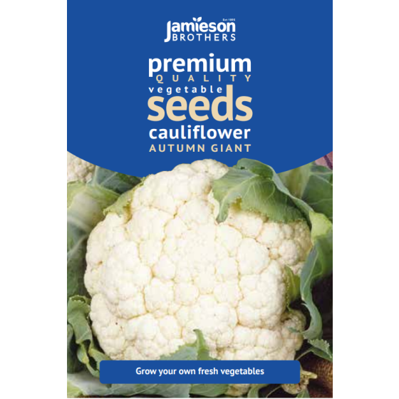 Cauliflower Autumn Giant Vegetable Seeds (Approx. 90 seeds) by Jamieson Brothers®