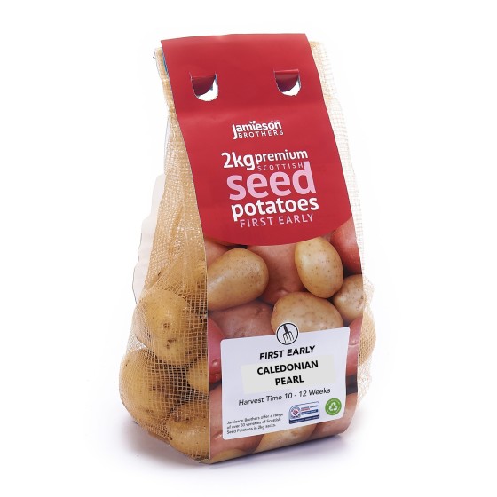 Caledonian Pearl Seed Potatoes - 2KG