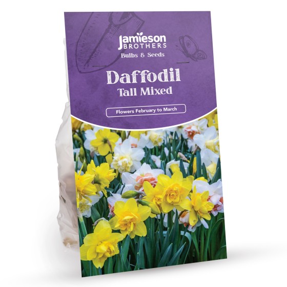 Tall Mixed Daffodils (30 bulbs)