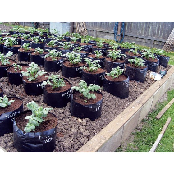 Polypots Pack of 5, lightweight re-usable pots that holds up to 20 litres of compost