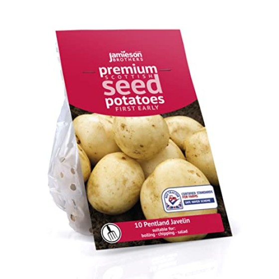 Pentland Javelin - 10 tuber pack Seed Potatoes by Jamieson Brothers