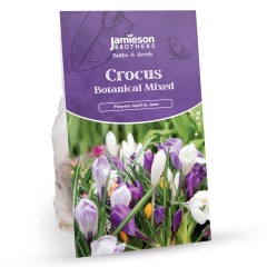 Crocus Bulbs - Botanical Mixed (140 bulb) by Jamieson Brothers® 