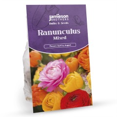 Ranunculus Mixed Bulbs (40 Bulbs) - Flower Bulbs by Jamieson Brothers