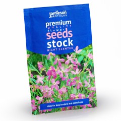 Jamieson Brothers® Night Scented Stock Flower Seeds (Approx. 260 seeds)