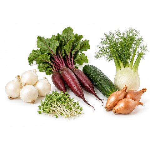Sweet & Savoury Pickling Growing Kit – Yellow Moon Shallots 250g, Snowball Onions 250g, Beetroot Cylindra, Cucumber Marketmore, Mustard White Sprouting & Florence Fennel by Jamieson Brothers