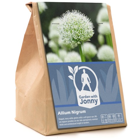 Garden With Jonny Allium Nigrum 5 Bulbs Autumn Planting