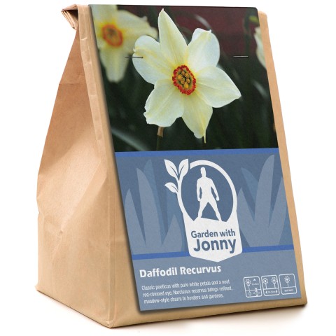 Garden With Jonny Daffodil Recurvus (Pheasants Eye) 5 Bulbs