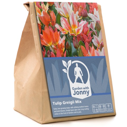 Garden With Jonny Tulip Greigi - 10 Bulbs