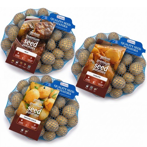 6kg Summer Planting Christmas Harvest Seed Potato Bundle (Charlotte, Pentland Javelin & Wilja)