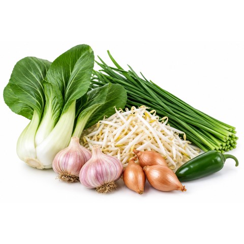 Asian Stir-Fry & Noodle Growing Kit – Golden Gourmet Shallots 250g, Pink Garlic (4 Pack), Mung Bean Sprouting, Pak Choi White Stemmed, Jalapeño Chili & Garlic Chives by Jamieson Brothers