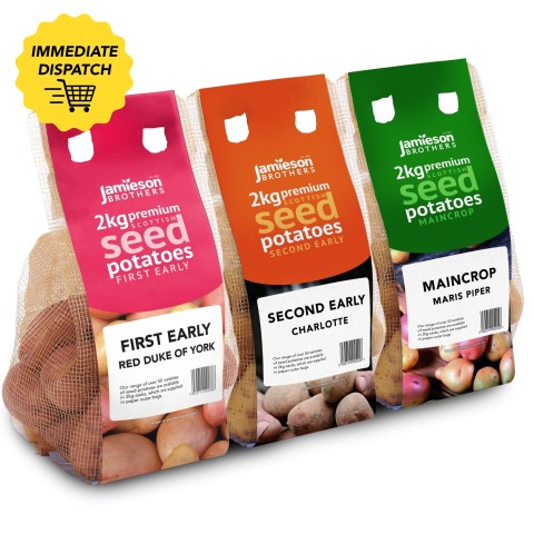 6kg Seed Potato Bundle (Charlotte, Maris Piper & Red Duke of York) Easy to Grow & High Yielding Varieties Perfect for All Uses