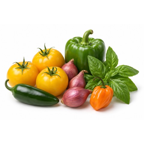 Tex-Mex Salsa & Chilli Feast Growing Kit – Red Sun Shallots 250g, Jalapeño Chili, Golden Sunrise Tomato, Sweet Pepper Californian Wonder, Habanero Chili & Sweet Basil by Jamieson Brothers
