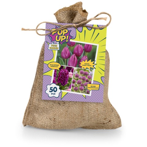 The Purple Bag (50 Bulbs) Tulipa Purple Prince, Hyacinthus Woodstock & Allium Sphaerocephalon, Ready for Planting Now in UK Autumn Outdoor Gardens