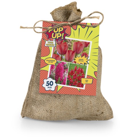 The Red Bag 50 Bulbs Ready for Planting Now in UK Autumn Outdoor Gardens