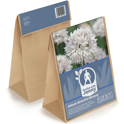 Allium Graceful Beauty 10 Bulbs