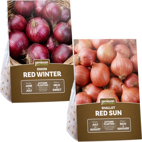 Autumn Edible Growing Duo - Red Winter Onions 250g & Red Sun Shallots (8 Pack) Autumn Planting Sets by Jamieson Brothers