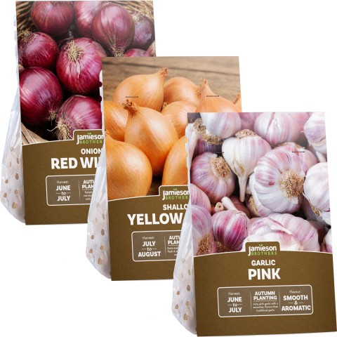 Autumn Edible Growing Trio – Red Winter Onions 250g, Yellow Moon Shallots (8 Pack) & Pink Garlic (4 Pack) by Jamieson Brothers