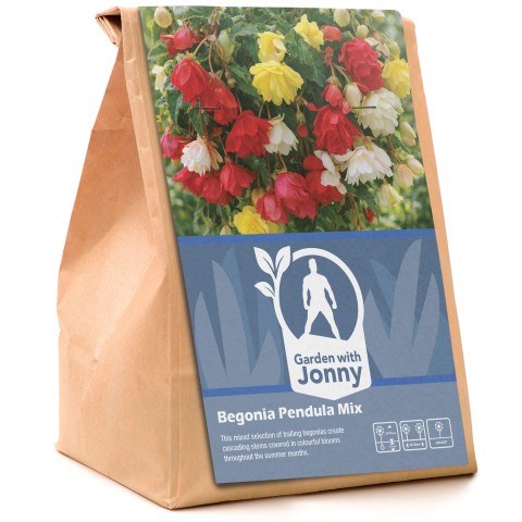 Begonia Pendula Mix (3 Bulbs)