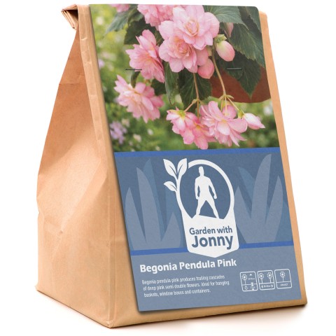 Begonia pendula pink (2 Bulbs)