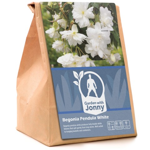 Begonia pendula white (2 Bulbs)