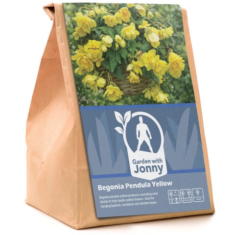 Begonia pendula yellow (2 Bulbs)