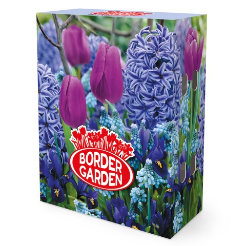 Blue Garden Mix: Iris reticulata Harmony, Muscari Ocean Magic, Hyacinthus Delft Blue & Tulip Purple Prince